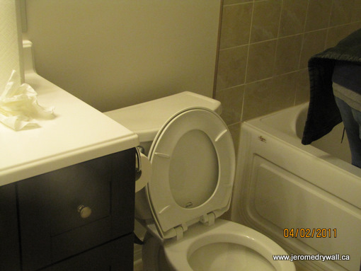 Examples of Bathroom Renovations